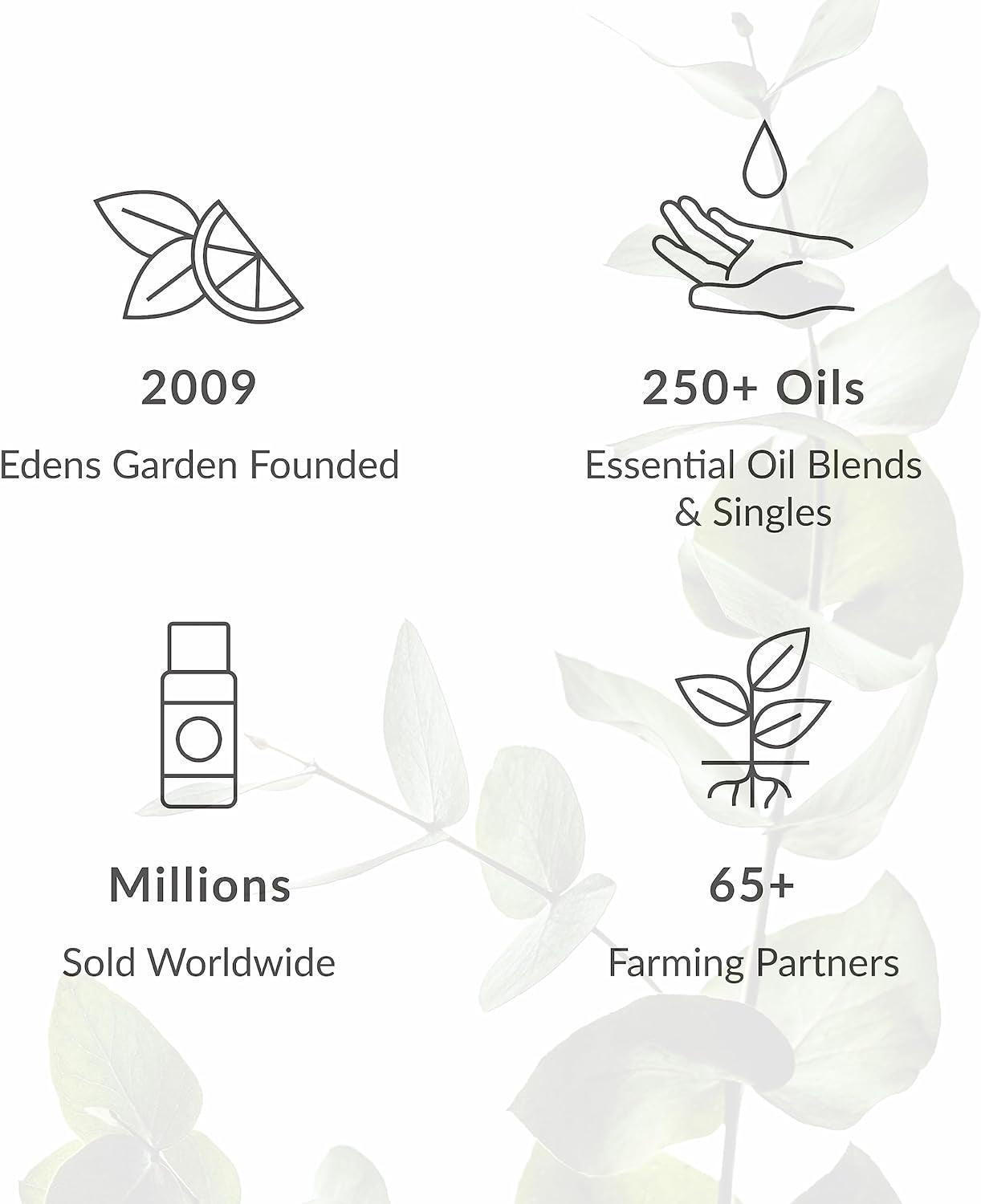 Ache Bath Salt Soak – Yuzu Cannabliss Blend with Pure Essential Oils, Epsom, Dead Sea Salt & Magnesium – for Men & Women, Tension Relief & Muscle Recovery after Workout, 10 Oz (283 G)